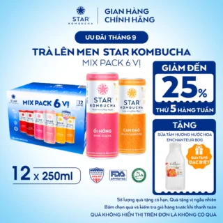 Thùng 12 Lon Trà Lên Men STAR KOMBUCHA Mix 6 Vị 250ml - Thức Uống Bổ Sung PROBIOTICS Tự Nhiên Từ Trà, SCOBY Và Thảo Mộc